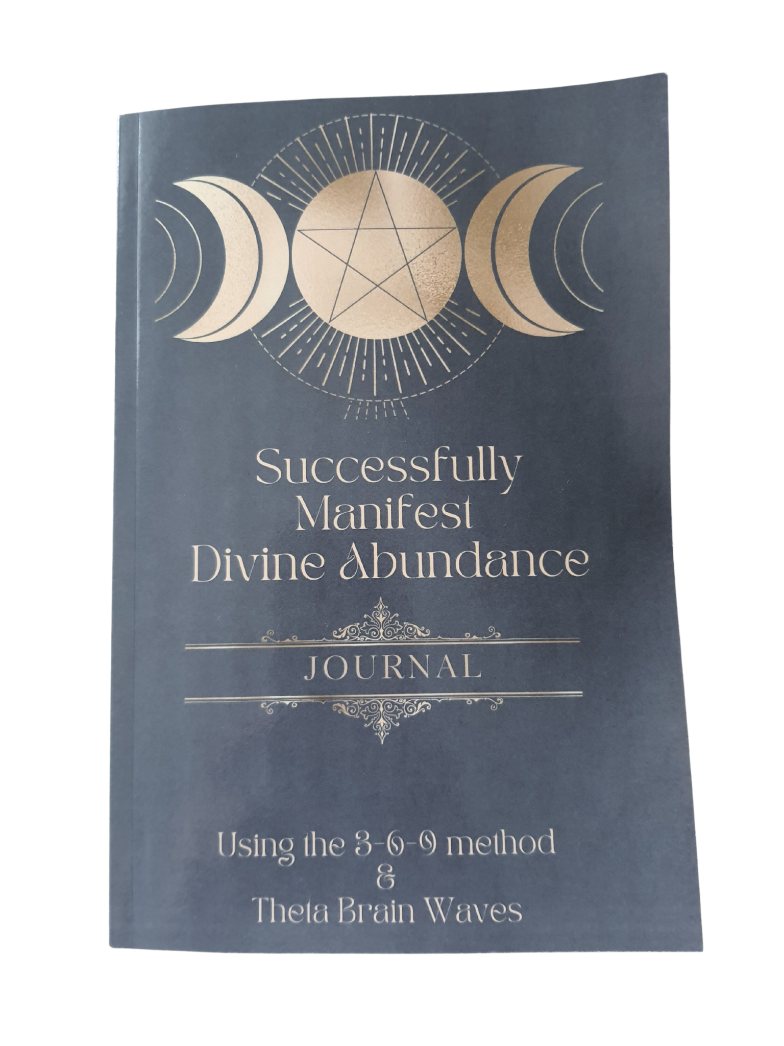 successfully manifest divine abundance journal